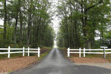 france, trees, road-82239.jpg